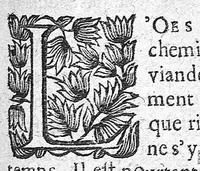 An illustration from La pathologie ou discours des maladies (1655)