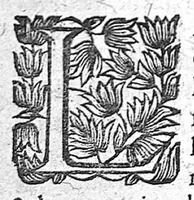 An illustration from Les sept livres de la thérapeutique universelle de Jean Fernel (1655)