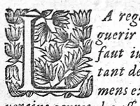 Picture 8 of 11 from Les sept livres de la thérapeutique universelle de Jean Fernel (1655), leaf 476