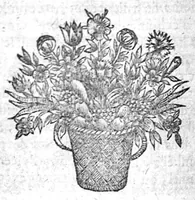 An illustration from Les sept livres de la thérapeutique universelle de Jean Fernel (1655)