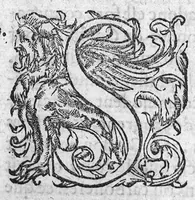 An illustration from Traicté des arcbusades, contenant la vraye essence du mal, et sa propre curation, par certaines et methodiques indications : avec l’explication de divers Problemes touchant ceste matiere. Par Laurens Joubert Medecin du Roy, et son Lecteur en l’Escole de medecine, à Montpelier, (1570)