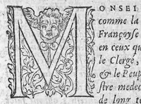 An illustration from Traicté des arcbusades, contenant la vraye essence du mal, et sa propre curation, par certaines et methodiques indications : avec l’explication de divers Problemes touchant ceste matiere. Par Laurens Joubert Medecin du Roy, et son Lecteur en l’Escole de medecine, à Montpelier, (1570)