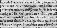 An illustration from Traicté des arcbusades, contenant la vraye essence du mal, et sa propre curation, par certaines et methodiques indications : avec l’explication de divers Problemes touchant ceste matiere. Par Laurens Joubert Medecin du Roy, et son Lecteur en l’Escole de medecine, à Montpelier, (1570)