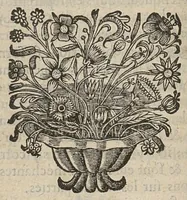 An illustration from Reflexions nouvelles sur les causes des maladies, et de leurs symptomes (1687)