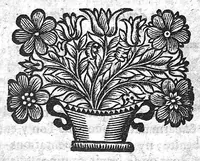An illustration from Les observations de médecine (1688)