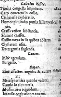 An illustration from Pharos medicorum. Hoc est cautiones, animadversiones et observationes practicae. Ex operibus Guilielmi Ballonii (1673)