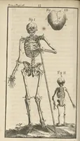 An illustration from Le Tresor de la medecine contenant l'Anatomie ou division des parties du corps humain, les maladies ausquelles elles sont sujettes, le regime de vivre...tome premier (1697)