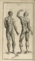 An illustration from Le Tresor de la medecine contenant l'Anatomie ou division des parties du corps humain, les maladies ausquelles elles sont sujettes, le regime de vivre...tome premier (1697)