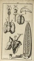 An illustration from Le Tresor de la medecine contenant l'Anatomie ou division des parties du corps humain, les maladies ausquelles elles sont sujettes, le regime de vivre...tome second (1697)