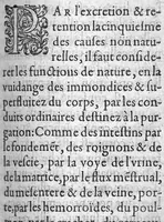 An illustration from Traicté de la peste divise en trois parties. Auquel est adjoint un traicte des vertus et proprietes du Contrayerva. Le tout composé par Masitre Caesar Morin, Angevin, Docteur en Medecine (1602)