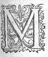 An illustration from Discours des maladies epidemiques ou contagieuses advenues en ceste ville de Paris, és années 1596 & 97 & ésannées 1608 & 1607... (1623)