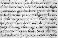 An illustration from Discours sur les causes de la peste survenue à Bourdeaux, cest an 1599,avec la preservation et curation d'icelle. Par M. Guillaume Briet, Docteur Medecin ordinaire de la Ville (1599)