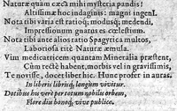 An illustration from Tetras gravissimorum totius capitis affectuum... Adjectus est in eorundem morborum curatione... ingens selectissimorum medicamentorum spagyricorum numerus... Josepho Quercetano,... auctore (1606)