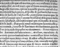 An illustration from Les maladies des femmes & remedes d'ycelles, en trois livres (1609)