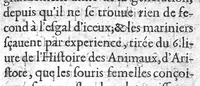 An illustration from Discours de la nature, cause, signes et curation des empeschemens de la conception (1625)