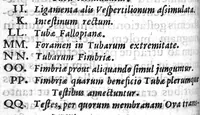 Picture 6 of 14 from Regneri de Graaf De mulierum organis generationi inservientibus tractatus novus : demonstrans tam homines & animalia caetera omnia, quae vivipara dicuntur, haud minus quàm ovipara ab ovo originem ducere : ad Cosmum III, magnum Etruriae ducem (1672), leaf 188