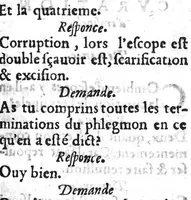 An illustration from Questionere des tumeurs contre nature, necessaire à ceux qui veulent parvenir à la cognoissance de cette partie de chyrurgie. Contenant les causes, signes & curation en general. Fait par Tanequin Guilhemet Chyrurgien du Roy de Navarre et maistre en ladite faculté en la Cité de Nimes, (1579)