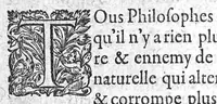 An illustration from Paradoxes de la cure de peste, par une methode succincte, contre l’opinion de ceux qui en ont escrit et pratiqué au passé, par Claude Fabri, Medecin et Astrophile, natif de Prelz en Argonne, demeurant à Dijon, (1568)