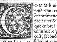 An illustration from De la maniere de preserver de la Pestilence, et den guerir, selon les bons Autheurs, par Benoit Textor Medecin, natif de Pont de Vaux en Bresse, (1551)