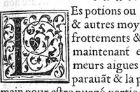 An illustration from De la maniere de preserver de la Pestilence, et den guerir, selon les bons Autheurs, par Benoit Textor Medecin, natif de Pont de Vaux en Bresse, (1551)
