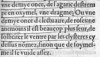 An illustration from Instruction tres utile, par laquelle un chacun se pourra maintenir en santé, tant au temps de peste, comme en autre temps,par Maistre Jehan Guinter d’Andernach Docteur de Paris en Medecine, (1547)