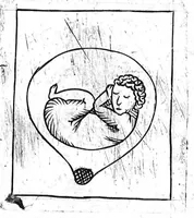 Picture 8 of 9 from Le propagatif de l’homme et secours des femmes en travail d’enfant,utiles & necessaire à toutes personnes. Enrichy de figures (1623), leaf 103
