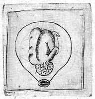 An illustration from Le propagatif de l’homme et secours des femmes en travail d’enfant,utiles & necessaire à toutes personnes. Enrichy de figures (1623)