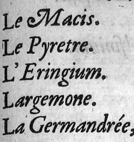 An illustration from Traicté de la peste selon la doctrine des médecins spagyriques (1629)