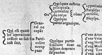 An illustration from Epydimyomachie ou combat de la peste avec le reglement Politique,auquel est adjousté certaines tables servans pour l’intelligence plus claire. Plus un Enigme sur la fin inventé tout expres. Par Esaie Le Lievre Vermandois. Dedié a hault et puissant Seigneur Messire Jehan Loys de la Vallete, Duc Depernon, Pair de France, Chevalier de l’ordre du Roy, Premier gentil-homme de sa chambre, Colonnel general de toute l’infanterie Francoyse (1582)