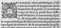 An illustration from Discours tres ample de la Peste, divisé en trois livres ; adressant à Messieurs de Tours : Par M. Nic. de Nancel, Noyonnois, medecin audit Tours. Icy sont traictees plusieurs choses contre l’opinion commune, et tradition ordinaire ; tant au premier livre, touchant la definition, differences, causes, signes, prognostic de la Peste ; comme au 2. de la precaution ; au 3. de la curation d’icelle, (1581)