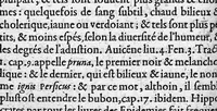 An illustration from Discours tres ample de la Peste, divisé en trois livres ; adressant à Messieurs de Tours : Par M. Nic. de Nancel, Noyonnois, medecin audit Tours. Icy sont traictees plusieurs choses contre l’opinion commune, et tradition ordinaire ; tant au premier livre, touchant la definition, differences, causes, signes, prognostic de la Peste ; comme au 2. de la precaution ; au 3. de la curation d’icelle, (1581)