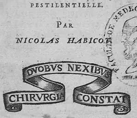 An illustration from Problème sur la nature, préservation et cure de la maladie pestilentielle (1607)