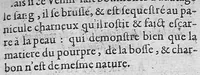 An illustration from Problème sur la nature, préservation et cure de la maladie pestilentielle (1607)
