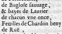 An illustration from Traité de la peste contenant sa définition, ses espèces et différences, ses causes, ses signes, ses accidens, sa cure et les moyens de s'en garentir (1671)