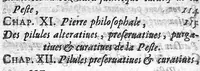An illustration from Traité de la peste contenant sa définition, ses espèces et différences, ses causes, ses signes, ses accidens, sa cure et les moyens de s'en garentir (1671)