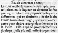 An illustration from Traité de la peste contenant sa définition, ses espèces et différences, ses causes, ses signes, ses accidens, sa cure et les moyens de s'en garentir (1671)