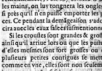 An illustration from Vray et asseuré preservatif de petite verole et rougeole, (1617)