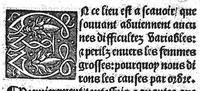 An illustration from Des divers travaulx et enfantemens des femmes, et par quel moyen lon doit survenir aux accidens qui peuvent escheoir devant et apres iceulx travaulx. Item quel lait et quelle nourrisse on doit eslire aux enfans : ensemble aucuns remedes concernens plusieurs maladies survenantes ausdits enfans nouveaux nez. Livret fort utile et duysant pour survenir a beaucoup de necessitez. Compose premierement en latin, par excellent medicin de Francfort, maistre Euchaire Rodion, et depuis tourne en langue françoyse, a lutilite de plusieurs personnes (1536)