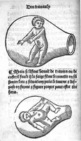 Picture 6 of 12 from Des divers travaulx et enfantemens des femmes, et par quel moyen lon doit survenir aux accidens qui peuvent escheoir devant et apres iceulx travaulx. Item quel lait et quelle nourrisse on doit eslire aux enfans : ensemble aucuns remedes concernens plusieurs maladies survenantes ausdits enfans nouveaux nez. Livret fort utile et duysant pour survenir a beaucoup de necessitez. Compose premierement en latin, par excellent medicin de Francfort, maistre Euchaire Rodion, et depuis tourne en langue françoyse, a lutilite de plusieurs personnes (1536), leaf 45