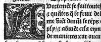 An illustration from Des divers travaulx et enfantemens des femmes, et par quel moyen lon doit survenir aux accidens qui peuvent escheoir devant et apres iceulx travaulx. Item quel lait et quelle nourrisse on doit eslire aux enfans : ensemble aucuns remedes concernens plusieurs maladies survenantes ausdits enfans nouveaux nez. Livret fort utile et duysant pour survenir a beaucoup de necessitez. Compose premierement en latin, par excellent medicin de Francfort, maistre Euchaire Rodion, et depuis tourne en langue françoyse, a lutilite de plusieurs personnes (1536)