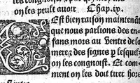 An illustration from Des divers travaulx et enfantemens des femmes, et par quel moyen lon doit survenir aux accidens qui peuvent escheoir devant et apres iceulx travaulx. Item quel lait et quelle nourrisse on doit eslire aux enfans : ensemble aucuns remedes concernens plusieurs maladies survenantes ausdits enfans nouveaux nez. Livret fort utile et duysant pour survenir a beaucoup de necessitez. Compose premierement en latin, par excellent medicin de Francfort, maistre Euchaire Rodion, et depuis tourne en langue françoyse, a lutilite de plusieurs personnes (1536)