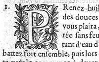 An illustration from Recueil des secrets... auquel sont contenues ses plus rares experiences pour diverses maladies, principalement des femmes, avec leurs embellissemens (1653)