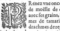 An illustration from Recueil des secrets... auquel sont contenues ses plus rares experiences pour diverses maladies, principalement des femmes, avec leurs embellissemens (1653)