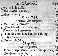An illustration from Recueil des secrets... auquel sont contenues ses plus rares experiences pour diverses maladies, principalement des femmes, avec leurs embellissemens (1653)