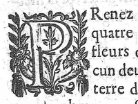 An illustration from Recueil des secrets... auquel sont contenues ses plus rares experiences pour diverses maladies, principalement des femmes, avec leurs embellissemens (1653)