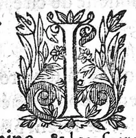 An illustration from Recueil des secrets... auquel sont contenues ses plus rares experiences pour diverses maladies, principalement des femmes, avec leurs embellissemens (1653)