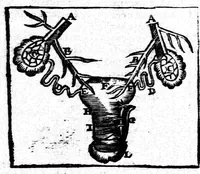 An illustration from Des hermaphrodits, accouchemens des femmes (1612)