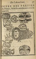Picture 7 of 28 from L'accoucheur methodique, qui enseigne la maniere d'operer dans tous les accouchements naturels et artificiels... (1676), leaf 66