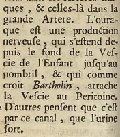 An illustration from L'accoucheur methodique, qui enseigne la maniere d'operer dans tous les accouchements naturels et artificiels... (1676)