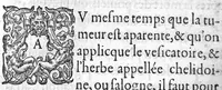 An illustration from Methode excellente et fort familiere pour guarir la peste, et se preserver d'icelle... (1608)